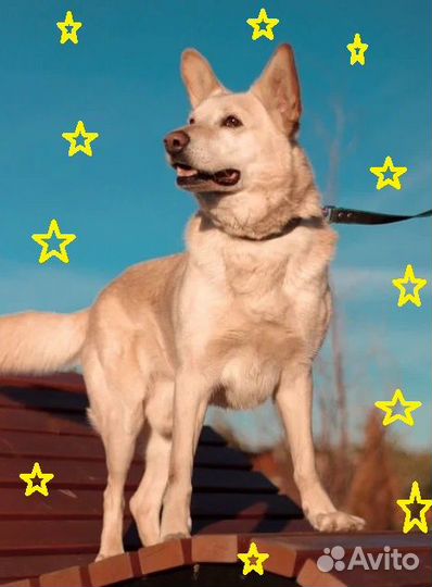 Обаятельный Данила