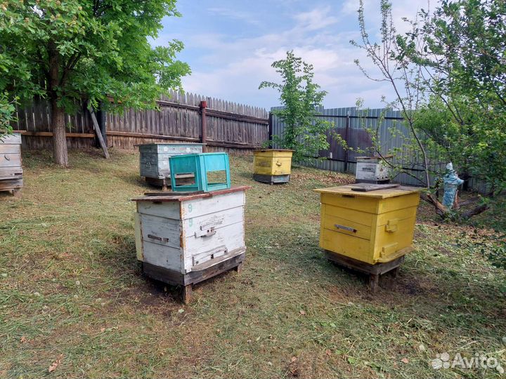 Улей для пчел бу