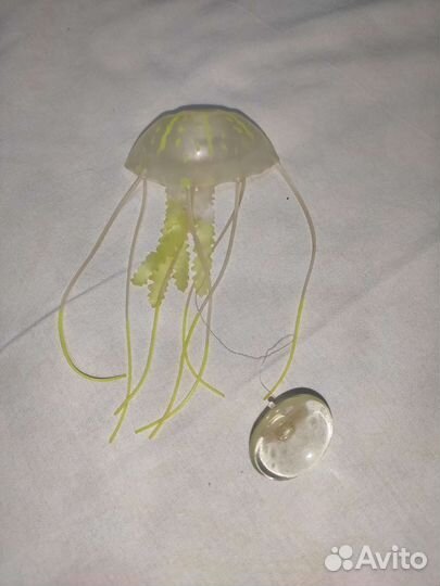Медуза для аквариума