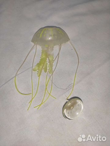 Медуза для аквариума