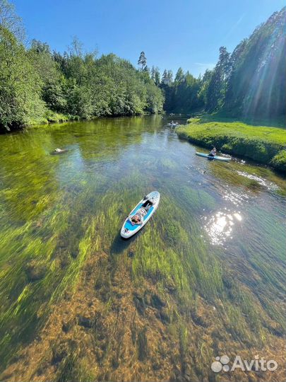 Прогулки на сапах Оредеж будни