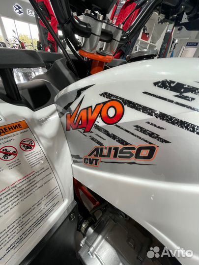 Kayo AU150 CVT