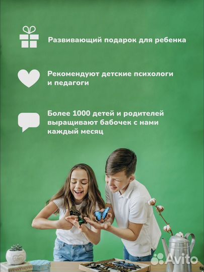 Бабочкарий - Ферма бабочек от Флай-Флай