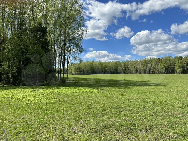 Участок 15,6 сот. (СНТ, ДНП)