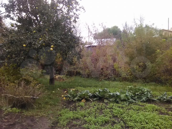 Дача 21 м² на участке 3 сот.