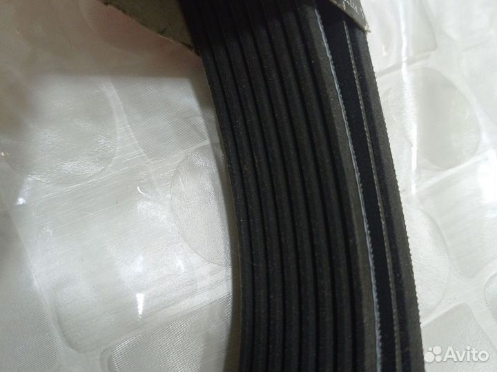 Ремень приводной 8PK2124 Dongil