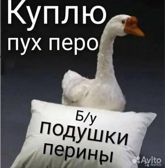 Подушки, перины, пух приму