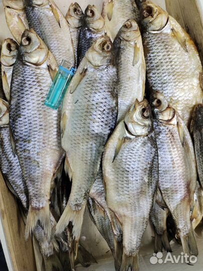 Вобла, Лещ, Чехонь вяленая. Астрахань