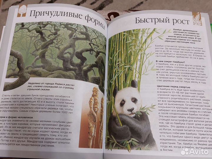 Энциклопедия Секреты природы