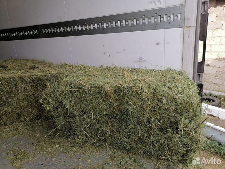 Сено, солома опт/розница
