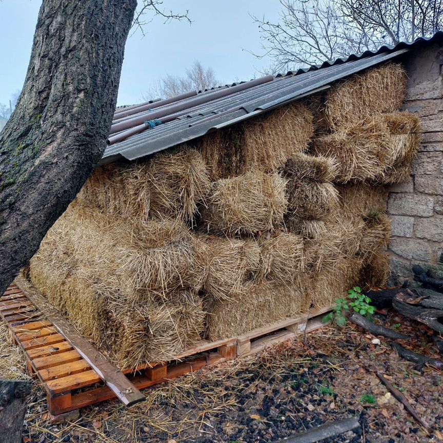 Солома ячменная в тюках