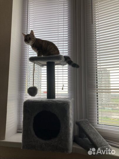 Домик для кошки