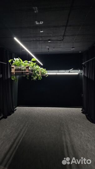 Аренда танцевального зала