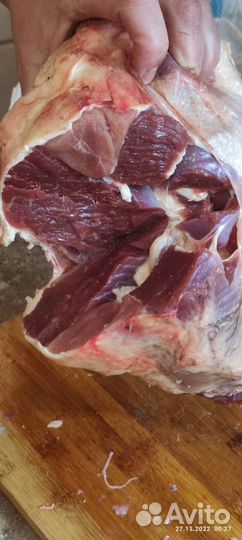 Бараны и овцы