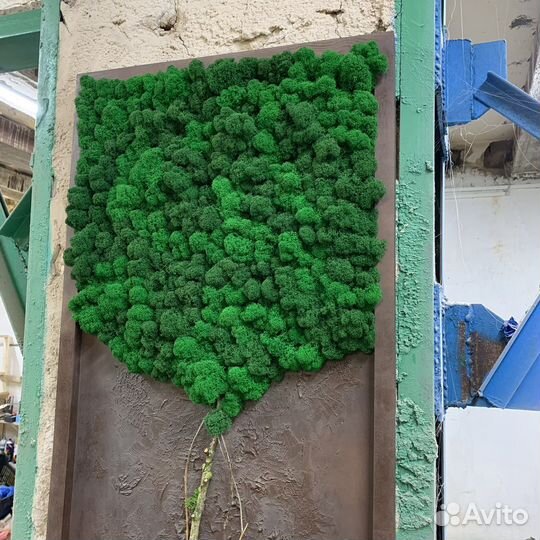 Панно из мха дерево жизни