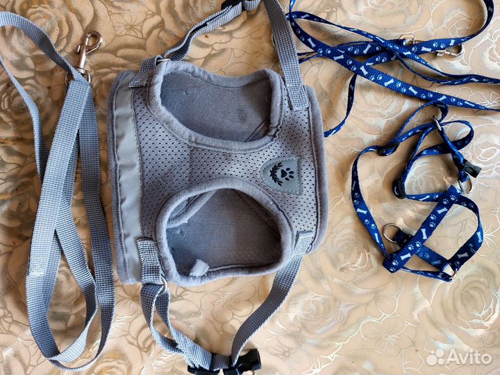 Шлейка для собаки