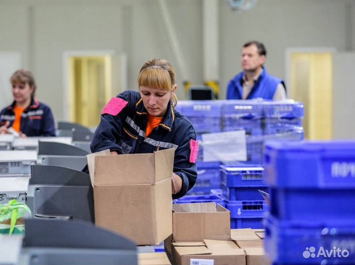 Сортировщик на производство Еженедельные авансы