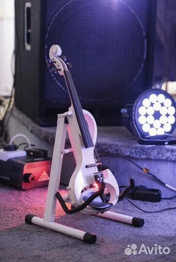 Живая музыка. Инструментальный дуэт.Скрипка.Труба