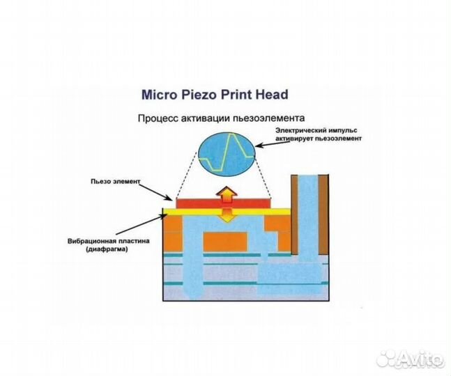 Восстановление печатающих головок epson