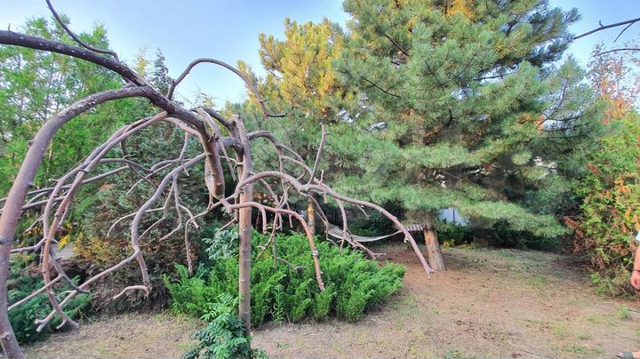 Дача 20 м² на участке 14 сот.