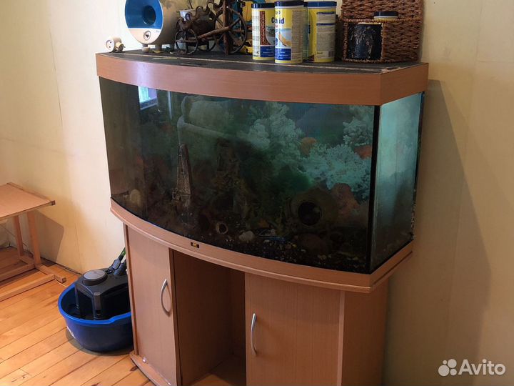 Аквариум