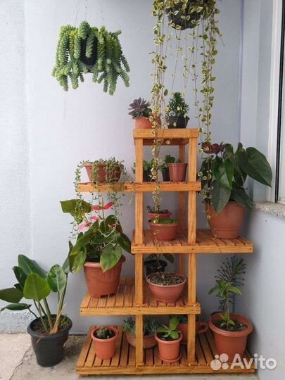 Стеллаж полка для цветов
