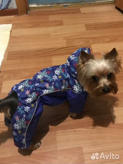 Продам демисезонный костюм