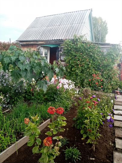 Дача 30 м² на участке 6 сот.