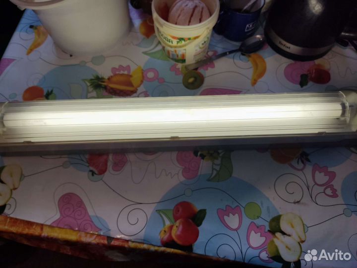 Светильник (лампа)