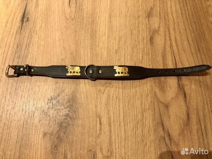 Ошейники для собак