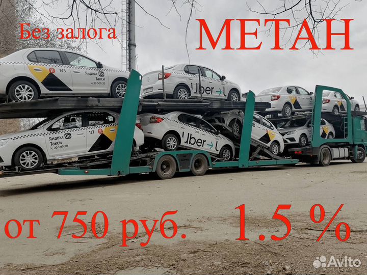Водитель Яндекс.Такси