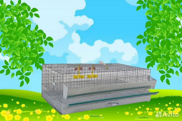 Клетка для перепелов на 30 голов