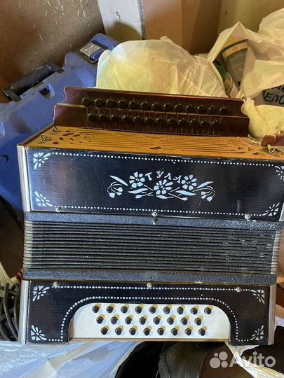 Гармонь тула