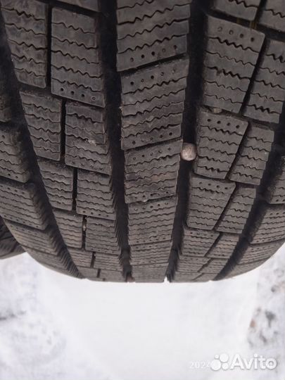 Foman Polar Bear 205/60 R16 92T