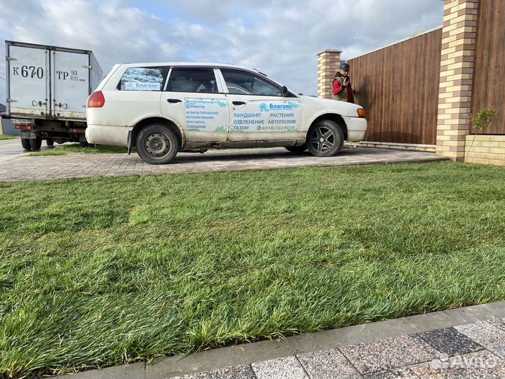 Автополив газона