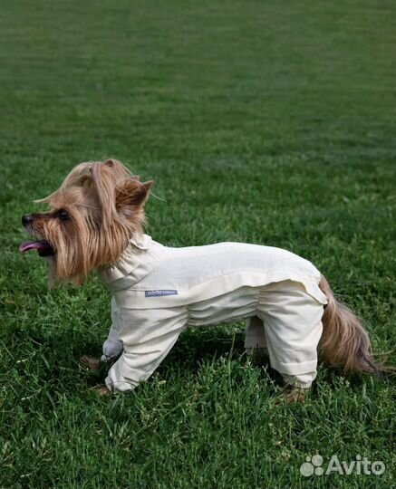Комбинезон для собаки от клещей
