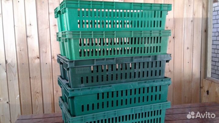Пластиковые ящики /Балейки/ Евролоток