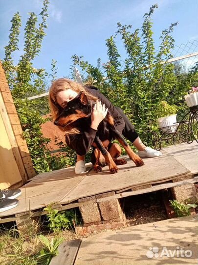 Фотографии