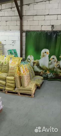 Комбикорм для различных видов животных и птиц