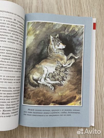 Джек Лондон белый клык