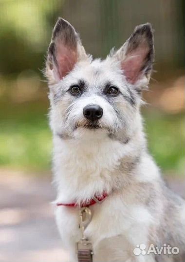 Подари мне шанс прожить жизнь в семье