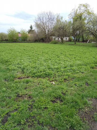 Участок 13 сот. (ИЖС)