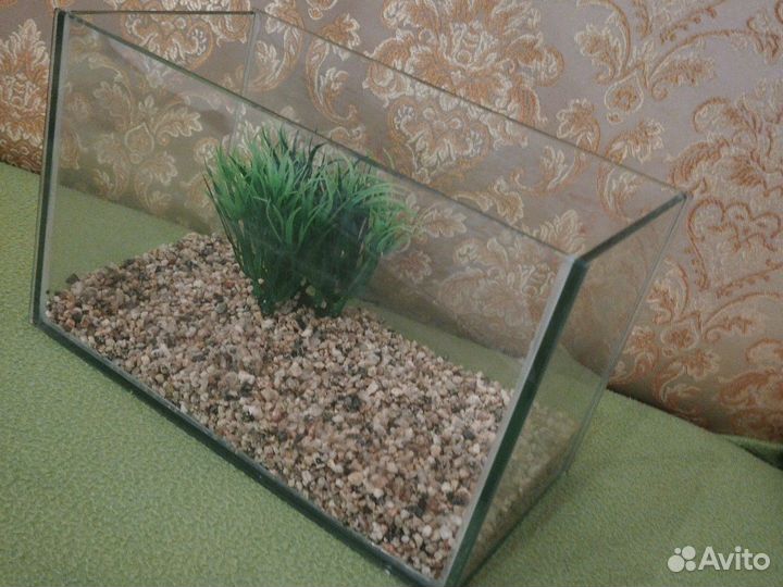 Аквариум для черепашки или рыбки