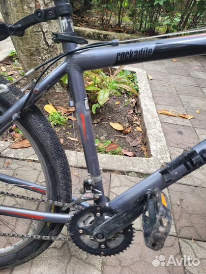 Велосипед Mongoose Rockadile взрослый