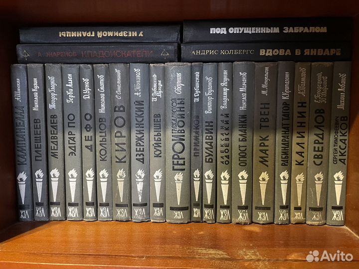 Книги серии жзл