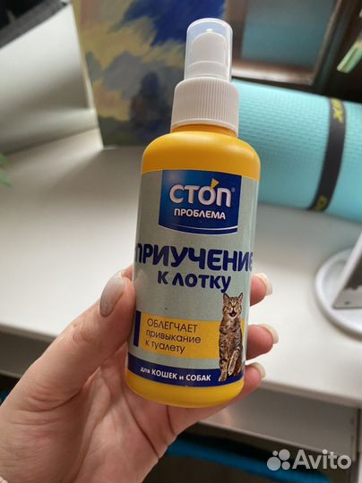 Спрей для приучения к лотку