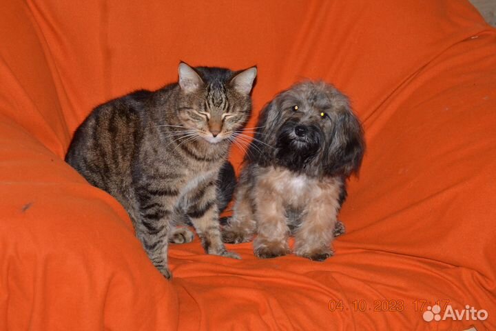 Очаровательный мальчик