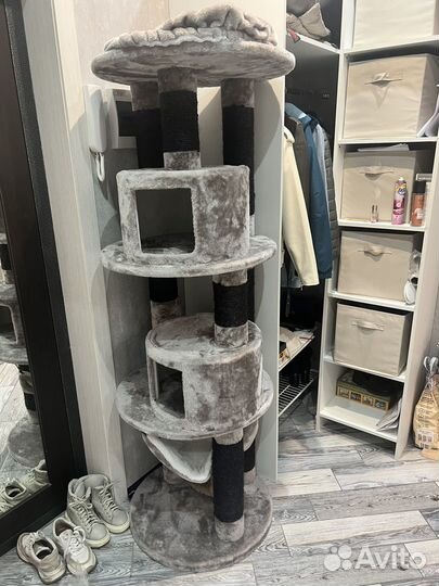 Когтеточка для кошек высокая