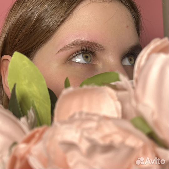 Мастер-бровист, администратор