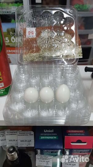 Кассеты для перепелиных яиц